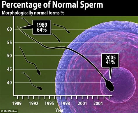 Sperm Counts Fall Let S Know Everything