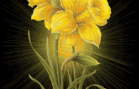 peindre les jonquilles en vidéo daffodils en anglais pearltrees