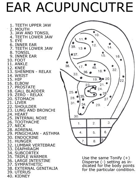 ear acupuncture points