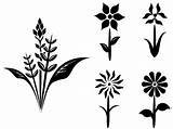 Silhouette Flower Plant Vector Silhouettes Clipart Clip Floral Flowers 123freevectors Cliparts Vectors Drawing Border Projects Clipartbest Wildflower Plants House Designs sketch template