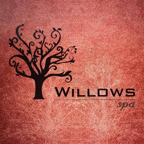 willows spa chennai