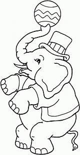 Zirkus Cirque Elefant Gajah Jongle Malvorlage Mewarnai Tiere Circo Cyrk Malvorlagen Kolorowanki Coloriages Colorier Ninos Preschool Printables Meilleures Fantasie Colour sketch template