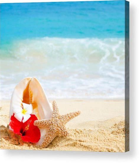 summer mood acrylic print featuring the photograph summer