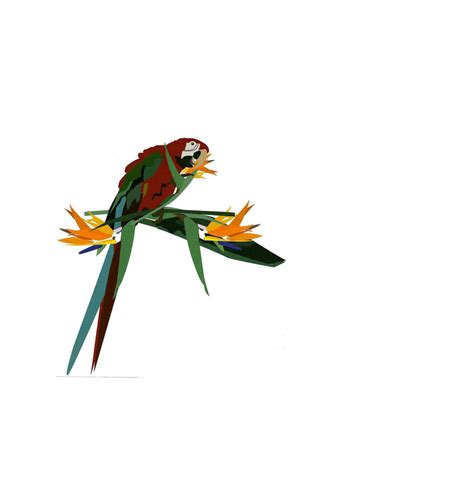 macaw logo  kortneylstout  deviantart