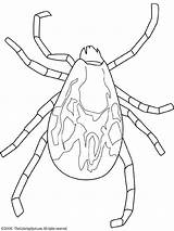 Tick Coloring Pages Colouring Kids Lightupyourbrain Rodent Embroidery sketch template