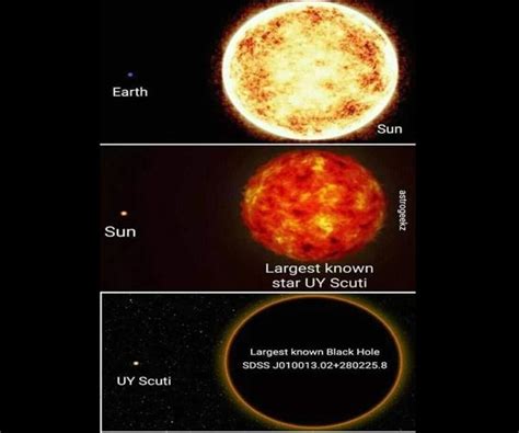 uy scuti  red supergiant star assignment point