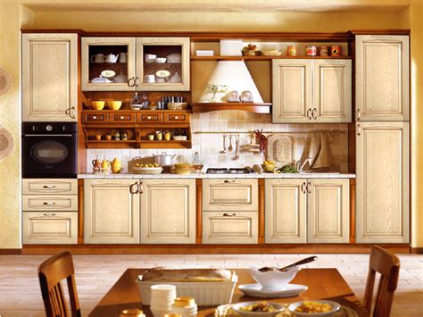 kitchen cabinet designs   home appliance