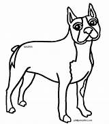 Boston Terrier Coloring Pages Hunting Massachusetts Clipartpanda Duck Designlooter Popular Getdrawings Dogs Drawing 20clipart 648px 88kb sketch template