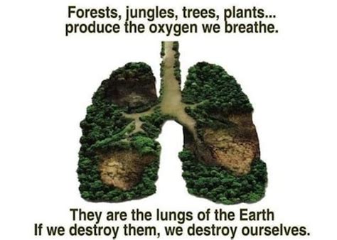 protecting  lungs   earth