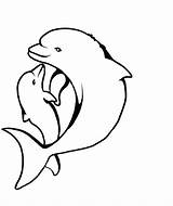 Dolphin Coloring Pages Baby Printable Color Getcolorings Print sketch template