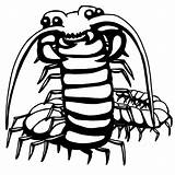 Centipede Clipartmag sketch template
