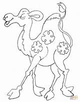 Coloring Pages Baby Animals Printable Camel Caravan Popular Library Clipart Cartoon Camels Coloringhome sketch template