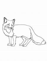 Coloring Fox Pages Printable Kids Crafts Wood sketch template
