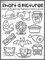 Short Worksheets Cvc Vowel Words Teacherspayteachers Grade Worksheet Kindergarten Subject Color Sound Phonics Word Sold sketch template