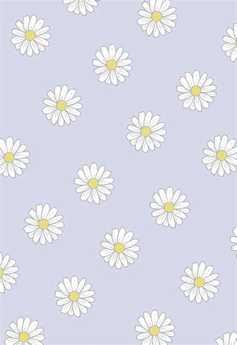 cute daisy enjoy flower life love wallpaper image 2546688 by