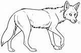 Coyote Coyotes Dibujo Lineart Template Jackal Kaylink Orig00 Webstockreview sketch template