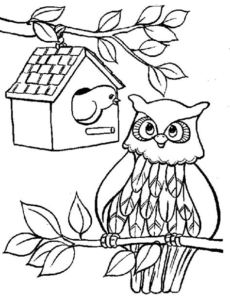 kids  funcom coloring page owls owls