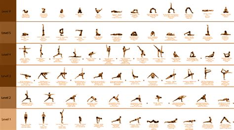 yoga poses explained allyogapositionscom