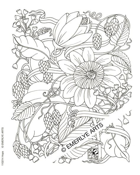 flower coloring pages advanced   flower coloring