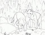 Pups Coloringhome Horse Pigs sketch template