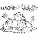 Kancil Kelinci Mewarnai Bambi Coelho Conversando Colorir Tematik Rangkuman Kelas Sketsa Hewan Diwarnai Tudodesenhos Makhluk Hidup Terhadap Peduli Subtema Binatang sketch template