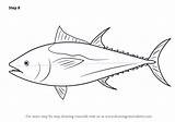 Tuna Bluefin Draw Drawing Step Atlantic Improvements Necessary Finish Make sketch template