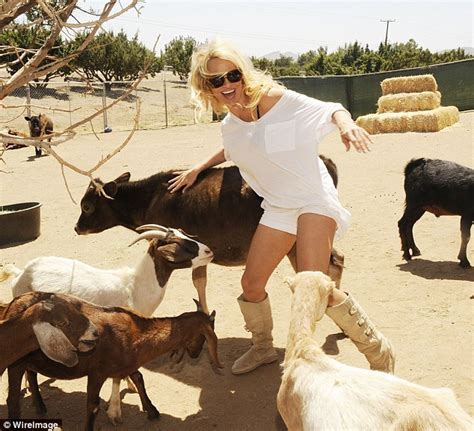Baywatch Babe Pamela Anderson Hugs Cow As She Frolics On Farm Daily
