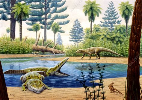 triassic environment stock image  science photo library