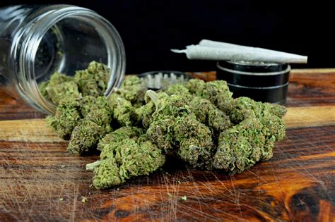 guide    marijuana strains   world docs  cannabis