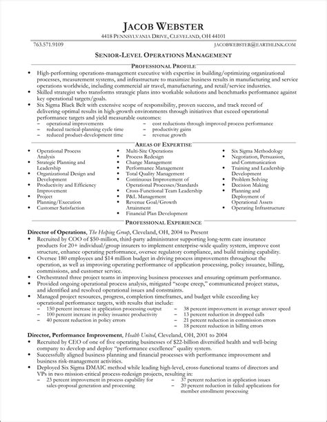 executive resume template word   resume  gallery
