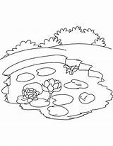 Pond Coloring Pages Lake Water Lily Ecosystem Drawing Printable Cycle Carbon Animals Kids Color Ocean Sheet Frog Getdrawings Nature Labels sketch template