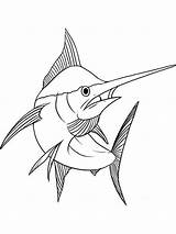 Coloring Marlin Pages Swordfish Printable Fish Print Getdrawings Color Getcolorings sketch template