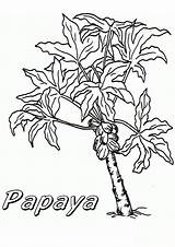 Papaya Kids sketch template