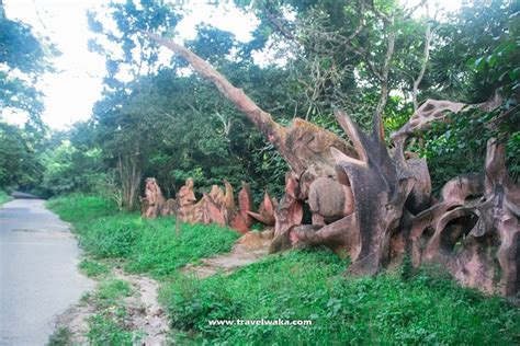 visit   osun osogbo sacred grove  osun state travel nigeria