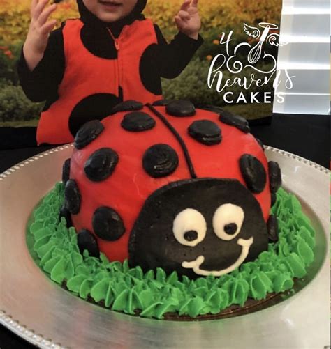 ladybug cake cake ladybug cake themed cakes