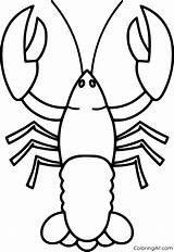 Lobster Coloring Coloringall Invertebrates Sketch sketch template