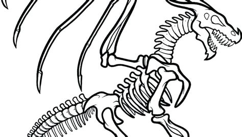 dinosaur bones drawing    clipartmag