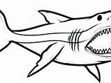 Megalodon Coloring Shark Pages Getcolorings Colo Getdrawings Color sketch template