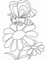 Coloring Daisy Butterfly Pages sketch template