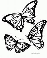 Coloring Butterfly Printable Pages Print sketch template