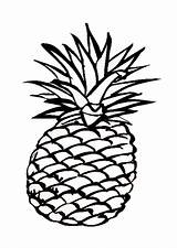 Ananas Disegno Stampare sketch template