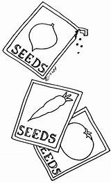 Clipart Seeds Seed Clip Clipground Cliparts sketch template