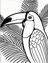 Coloring Pages Bird Tropical Jungle Animal Books Adult Printable Choose Board Kids sketch template