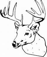 Deer Coloring Pages Head Elk Buck Printable Cartoon Color Drawing Line Simple Print Doe Hunting Clipart Adult Sheet Christmas Book sketch template