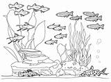Mewarnai Coloring Laut Pemandangan Bawah Gambar Underwater Anak Sea Dasar Menggambar Reef Paud Lukisan Marimewarnai Ikan Senang Ide Imagixs Sketsa sketch template