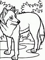 Wolf Coloring Pages Colouring Printable Pack Baby Arctic Drawing Cute Print Color Kids Awesome Animal Theme Clipartbest Clipart Woof Mandala sketch template
