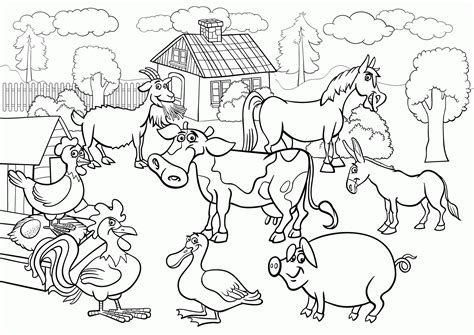 farm  coloring page  printable coloring pages  kids