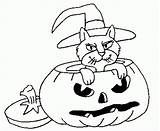Coloring Halloween Pages Pumpkin Cat sketch template