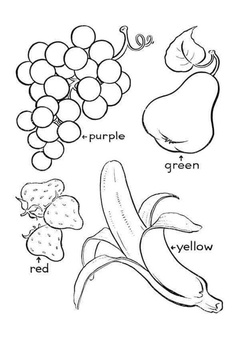 summer fruits coloring pages fruit coloring pages food coloring