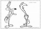 Runner Road Coyote Wile Coloring Pages Cartoons Printable Drawing sketch template